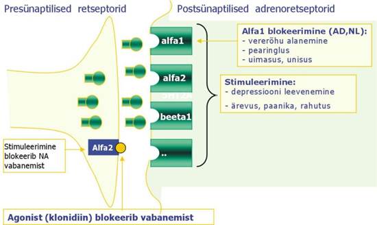 42-Na-retseptorid